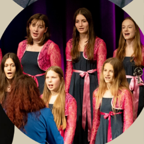 TŘEBÍČSKÉ RESONOVÁNÍ