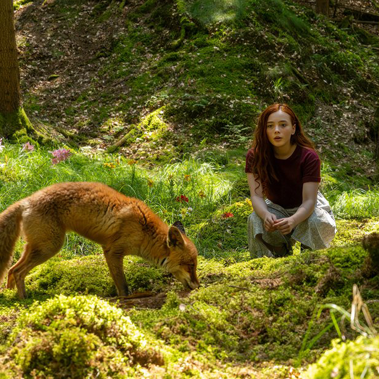 DÍVKA JMÉNEM WILLOW